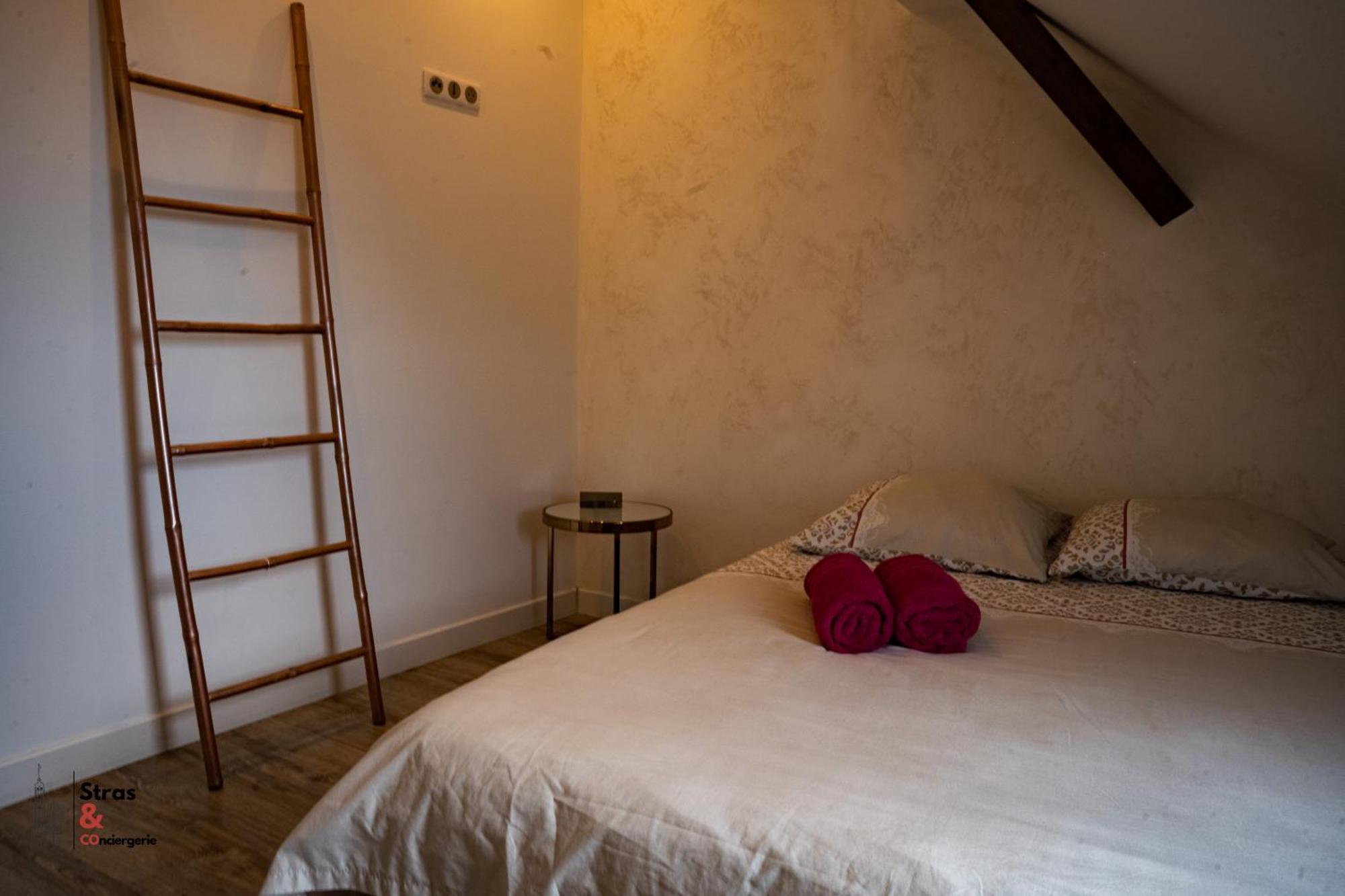 Apartamento Belles Combles Alsaciennes Au Centre De Estrasburgo Exterior foto