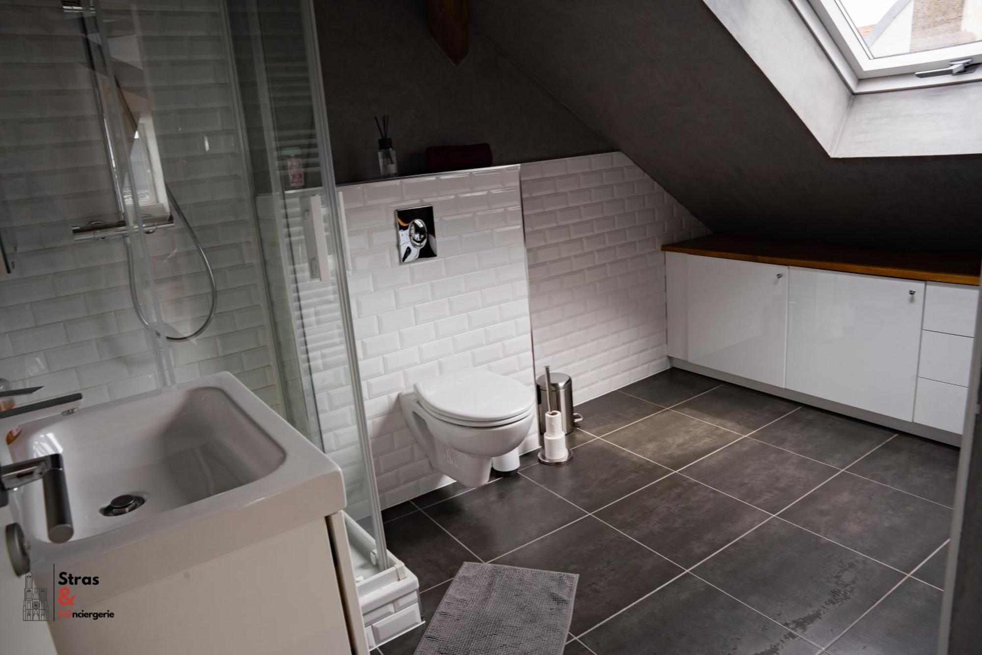 Apartamento Belles Combles Alsaciennes Au Centre De Estrasburgo Exterior foto